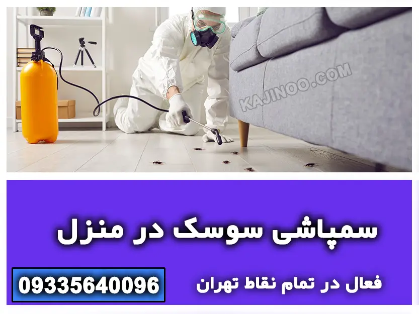 سمپاشی سوسک در منزل